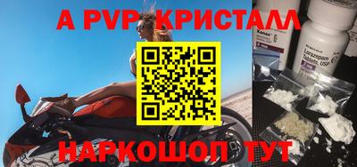 a pvp Кингисепп