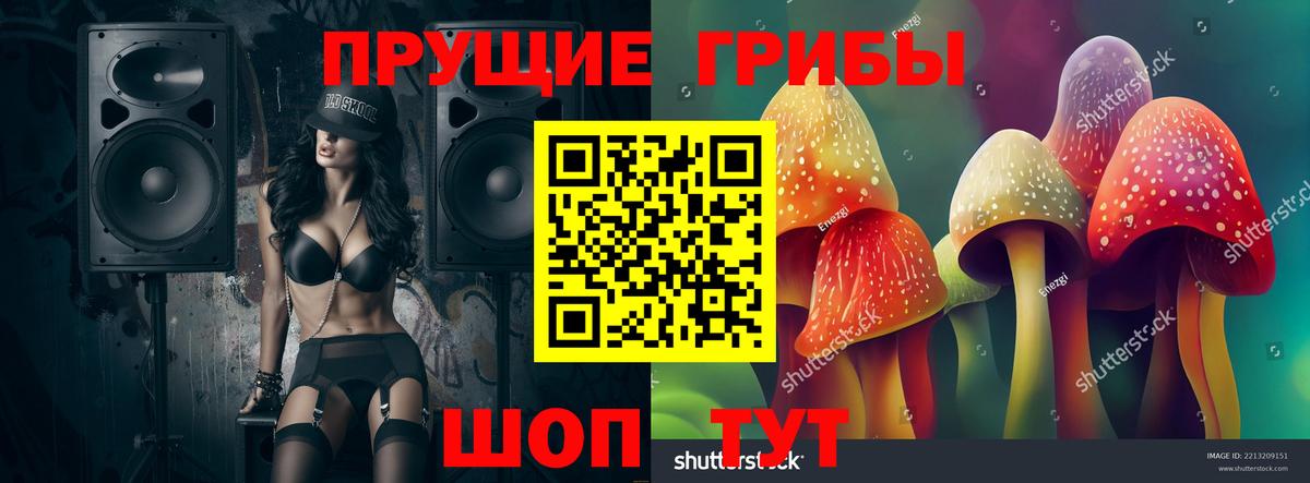 Псилоцибиновые грибы Psilocybine cubensis  Псилоцибиновые грибы GOLDEN TEACHER  Сергиев Посад  Вход с VPN 